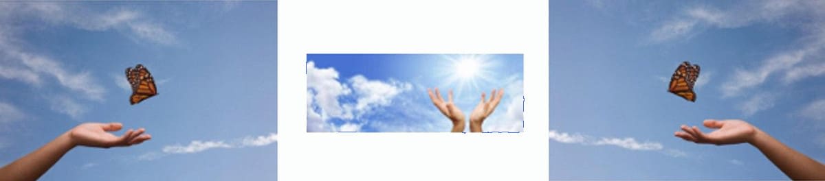 S"épanouir/Blossom S"épanouir/Blossom